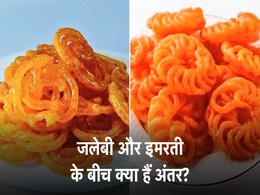 जलेबी और इमरती के बीच क्या होता है अंतर? कौन सबसे ज्यादा टेस्टी होती है? देखें मज़ेदार जवाब जलेबी और इमरती के बीच क्या होता है अंतर? कौन सबसे ज्यादा टेस्टी होती है? देखें मज़ेदार जवाब