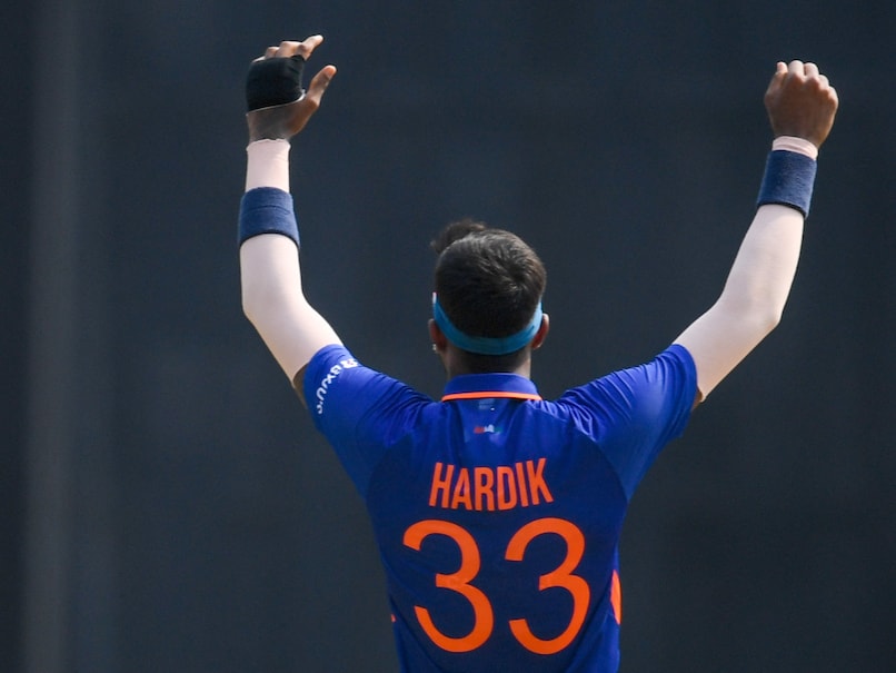 3rd ODI, India vs Australia, Live Score Updates: Onus On David Warner, Marnus Labuschagne After Hardik Pandya Runs Riot