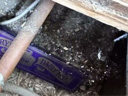 100-Year-Old Dairy Milk Wrapper Found By UK Woman While Renovating Home