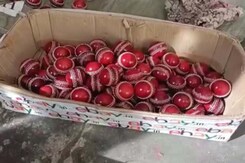 How IPL Rekindled Jalandhar's Cricket Ball Industry How IPL Rekindled Jalandhar's Cricket Ball Industry