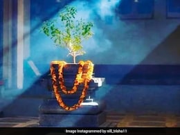 जानिए कब तुलसी पर नहीं जलाना चाहिए दीया, मान्यतानुसार कुछ नियमों का ख्याल रखना है जरूरी जानिए कब तुलसी पर नहीं जलाना चाहिए दीया, मान्यतानुसार कुछ नियमों का ख्याल रखना है जरूरी
