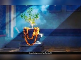 Tulsi Vivah 2025 Kab Hai: तुलसी विवाह 2025 में कब है? शुभ मुहूर्त, पूजा विधि और भोग रेसिपी Tulsi Vivah 2025 Kab Hai: तुलसी विवाह 2025 में कब है? शुभ मुहूर्त, पूजा विधि और भोग रेसिपी