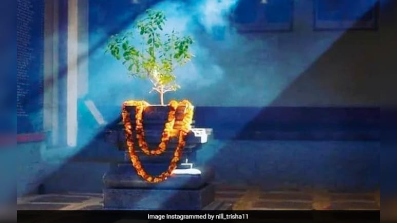 Tulsi Vivah 2025 Kab Hai: तुलसी विवाह 2025 में कब है? शुभ मुहूर्त, पूजा विधि और भोग रेसिपी Tulsi Vivah 2025 Kab Hai: तुलसी विवाह 2025 में कब है? शुभ मुहूर्त, पूजा विधि और भोग रेसिपी