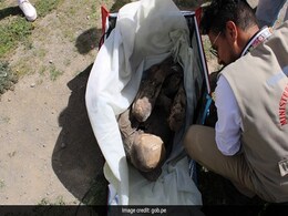 बैग में 800 साल पुरानी ममी लेकर घूम रहा था डिलीवरी बॉय, पकड़े जाने पर बोला- ये मेरी प्रेमिका है, फिर हुआ ये बड़ा खुलासा बैग में 800 साल पुरानी ममी लेकर घूम रहा था डिलीवरी बॉय, पकड़े जाने पर बोला- ये मेरी प्रेमिका है, फिर हुआ ये बड़ा खुलासा