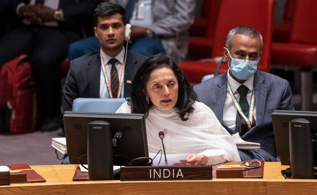 Facing "Serious Challenge" Of Cross-Border Weapons Supply: India At UN