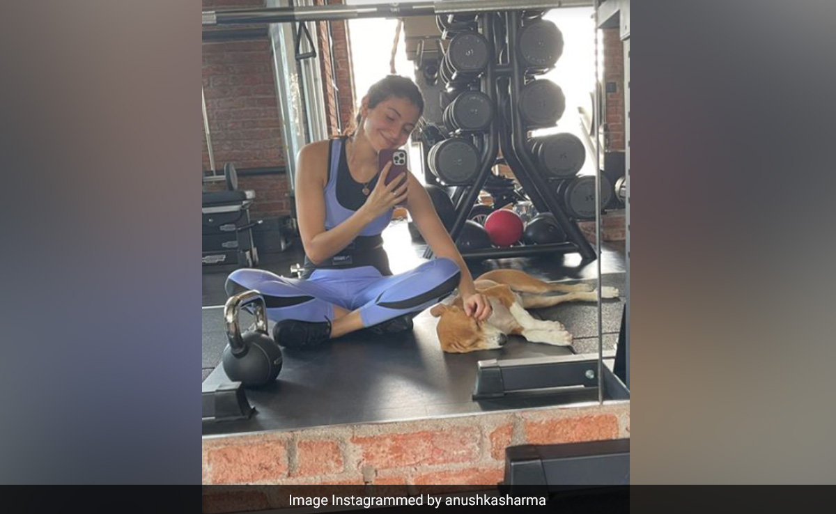 Meet Anushka Sharma's "Post Workout Companion"