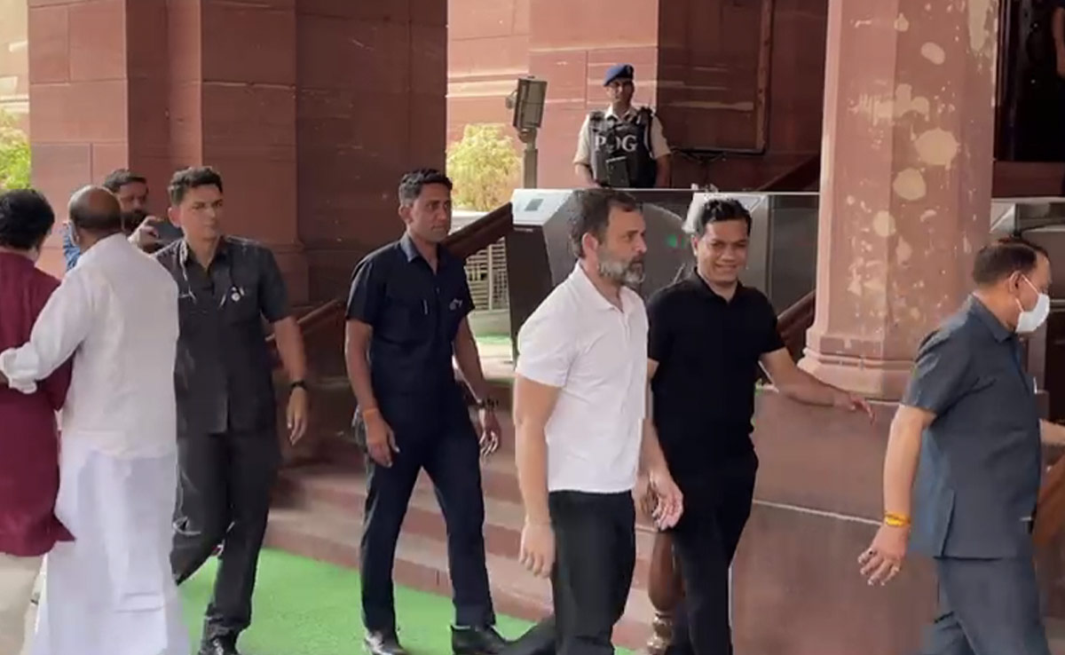What Poll Body Said On Election In Rahul Gandhi's Wayanad Seat