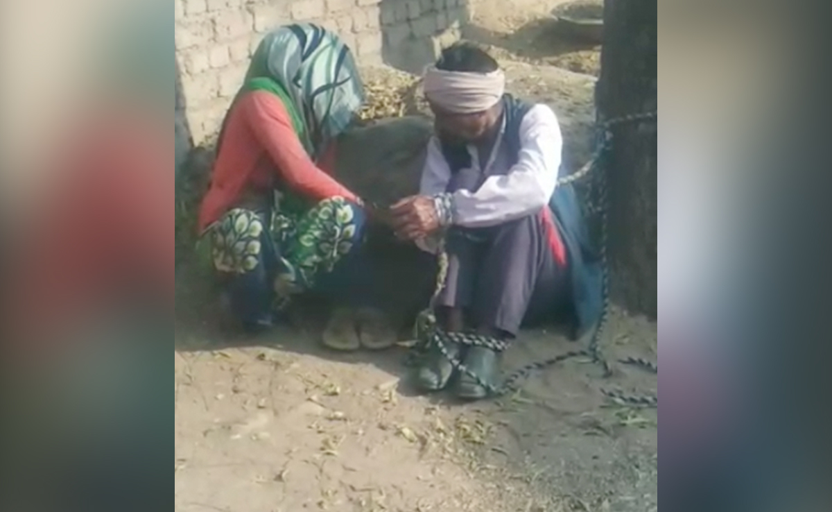 पेड़ से बांध दो दिन तक की पिटाई, फिर घर में लटका मिला पीड़ित का शव, जांच में जुटी MP पुलिस