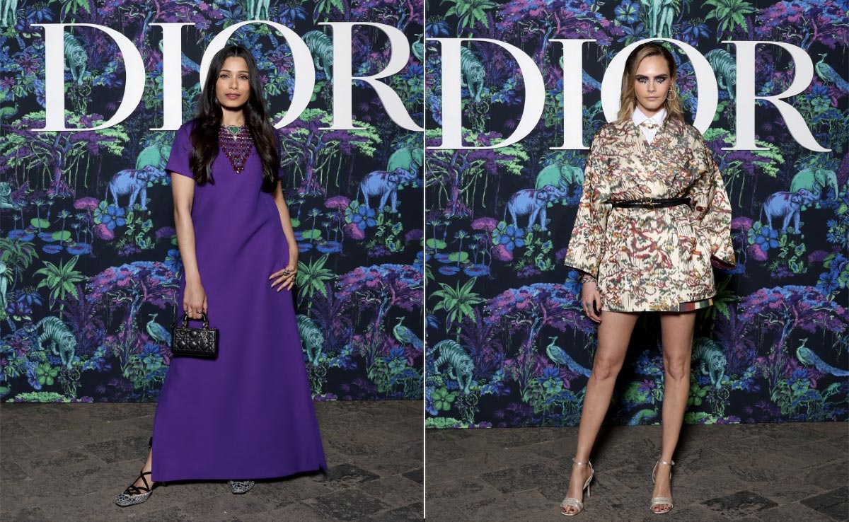 Freida Pinto, Cara Delevingne, Maisie Williams And Other International Stars At Dior Show At Gateway Of India