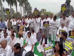 Congress Protest After Chaos In Parliament Over Rahul Gandhi's Remarks Congress Protest After Chaos In Parliament Over Rahul Gandhi's Remarks