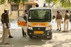 Stray Dog Kills Infant Sleeping Next To Mother In Rajasthan Hospital Stray Dog Kills Infant Sleeping Next To Mother In Rajasthan Hospital