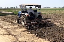 Punjab Farmer Suffers Huge Loss As Unseasonal Rain Destroys Crop Punjab Farmer Suffers Huge Loss As Unseasonal Rain Destroys Crop
