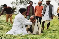 Rain Destroys Crops In Several Districts Of Madhya Pradesh Rain Destroys Crops In Several Districts Of Madhya Pradesh