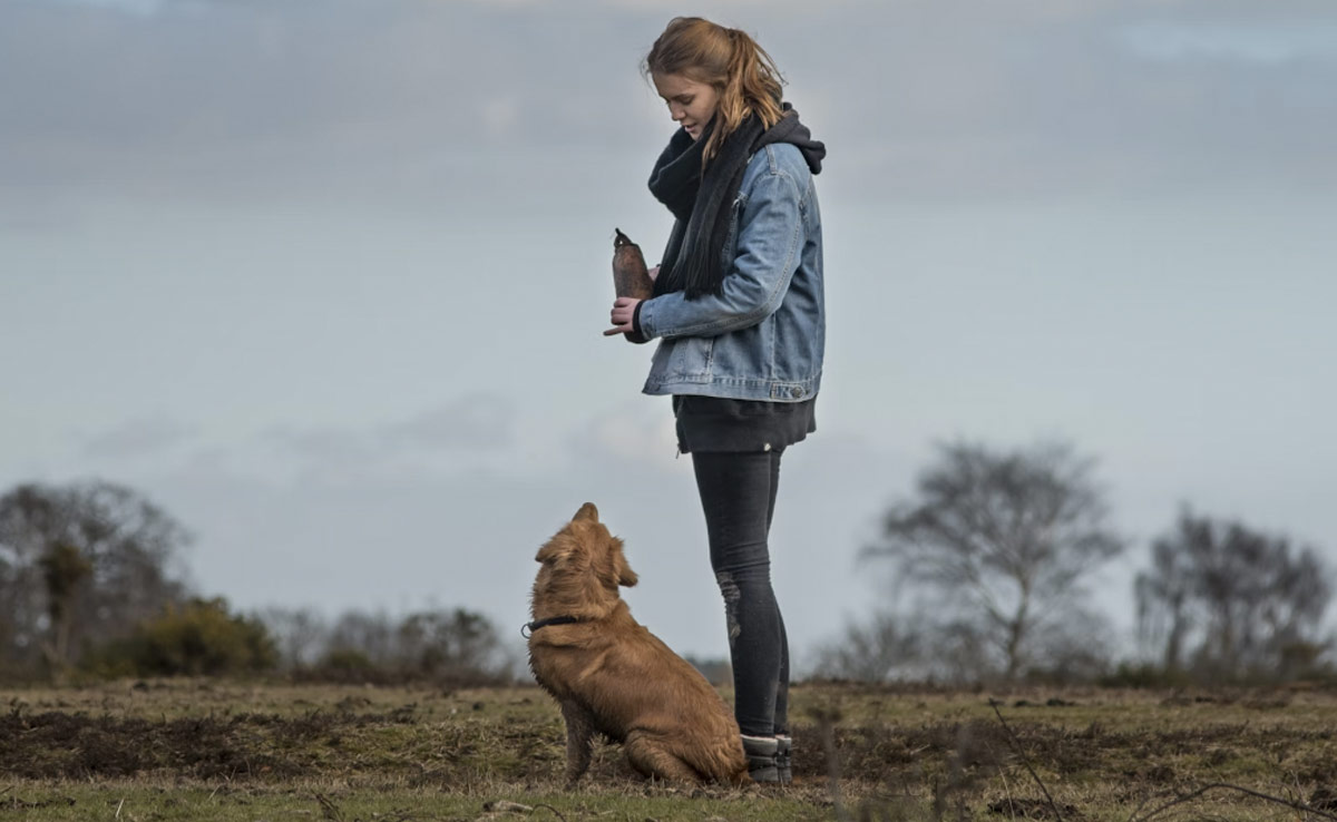 Study On Brain Of Anxious Dogs Shows How Changes Are Close To Humans