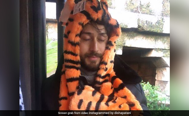 Disha Patani's ROFL Birthday Post For Rumoured Ex-Boyfriend Tiger Shroff