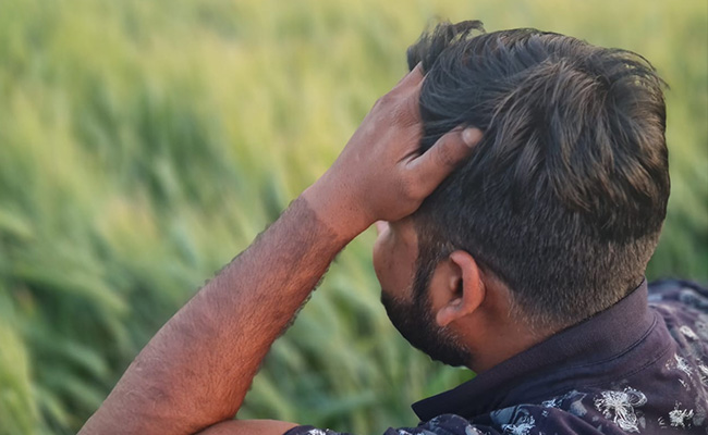 Untimely Rain Causes Massive Crop Damage In Madhya Pradesh
