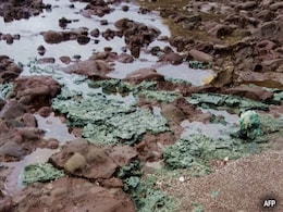 Plastic Rocks Discovered On Remote Island, Caused By Marine Pollution Plastic Rocks Discovered On Remote Island, Caused By Marine Pollution