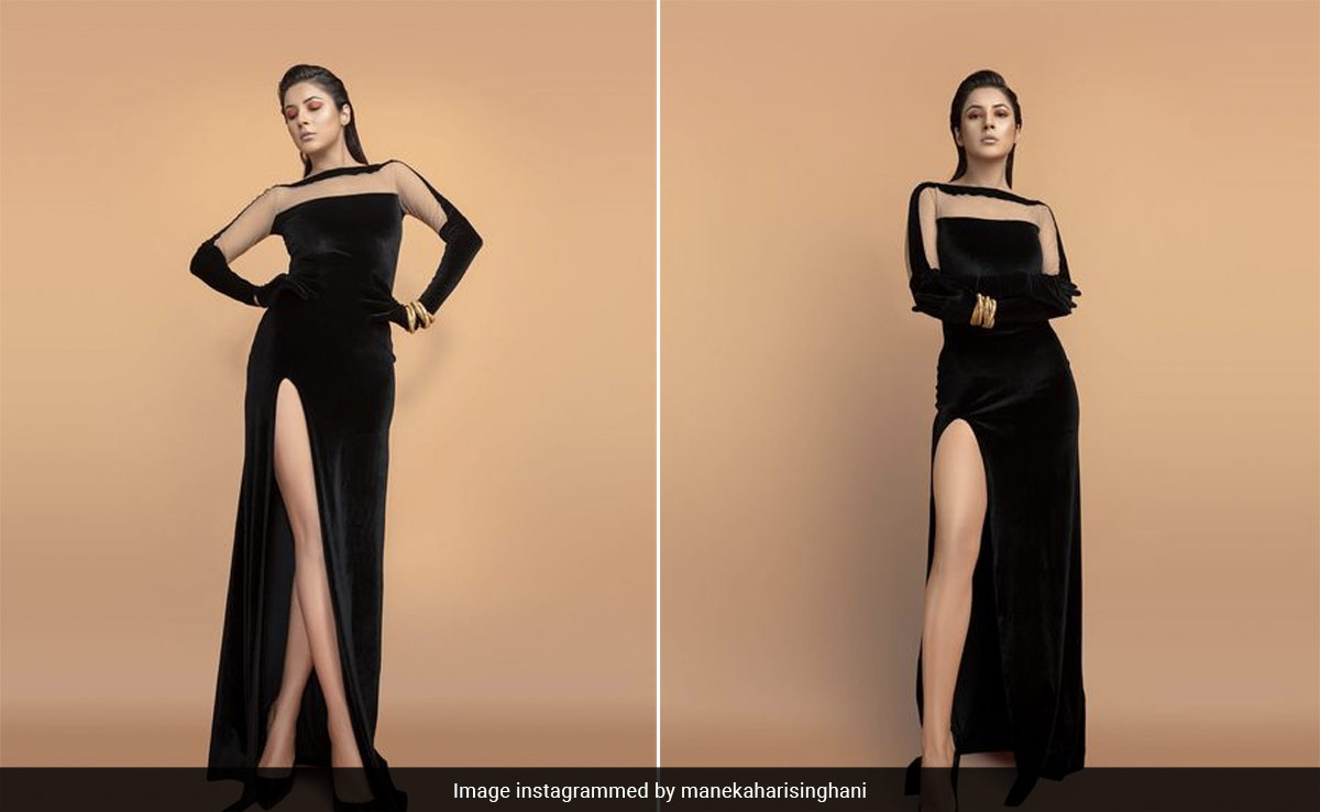 "When The Look Is Effortlessly Slay", It Is Because Shehnaaz Gill's Black Dress Saves The Day