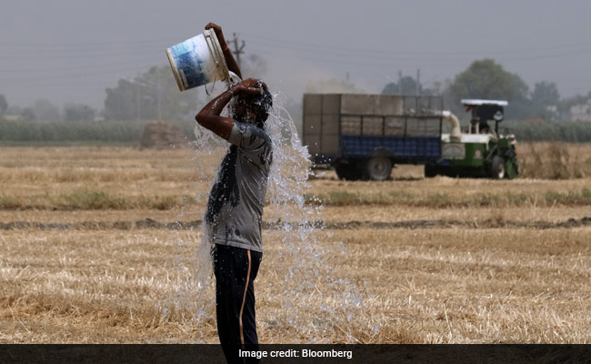 Sizzling Heat Wave Puts India's Farm Sector, Economy At Risk