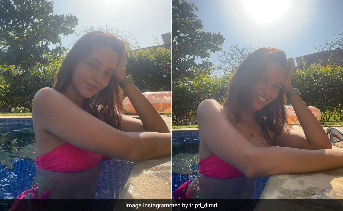 For Tripti Dimri, "A Perfect Summer Day" Involves The Pool, Plenty Of Sunshine And A Pink Swimsuit