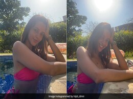For Tripti Dimri, "A Perfect Summer Day" Involves The Pool, Plenty Of Sunshine And A Pink Swimsuit For Tripti Dimri, "A Perfect Summer Day" Involves The Pool, Plenty Of Sunshine And A Pink Swimsuit
