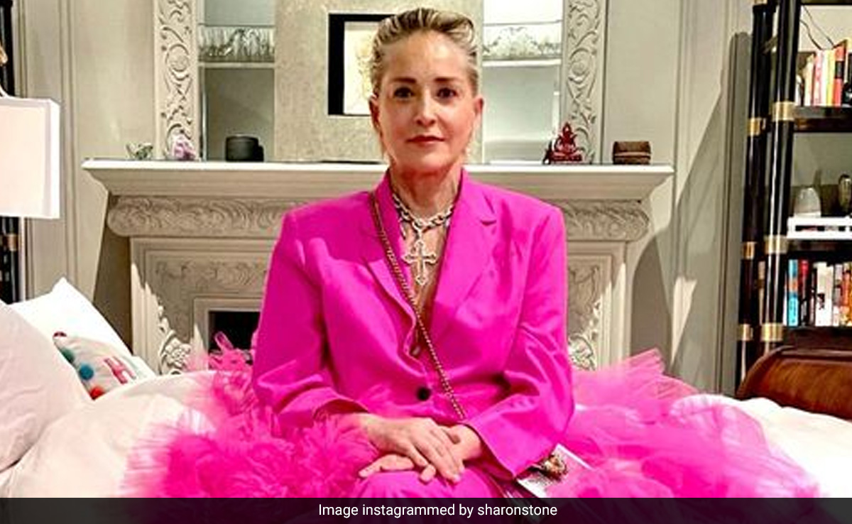 Actor Sharon Stone Claims She Lost Half Her Money In Recent Banking Crisis
