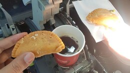Pilots Grounded After Eating Gujiya In Plane Cockpit, Internet Reacts