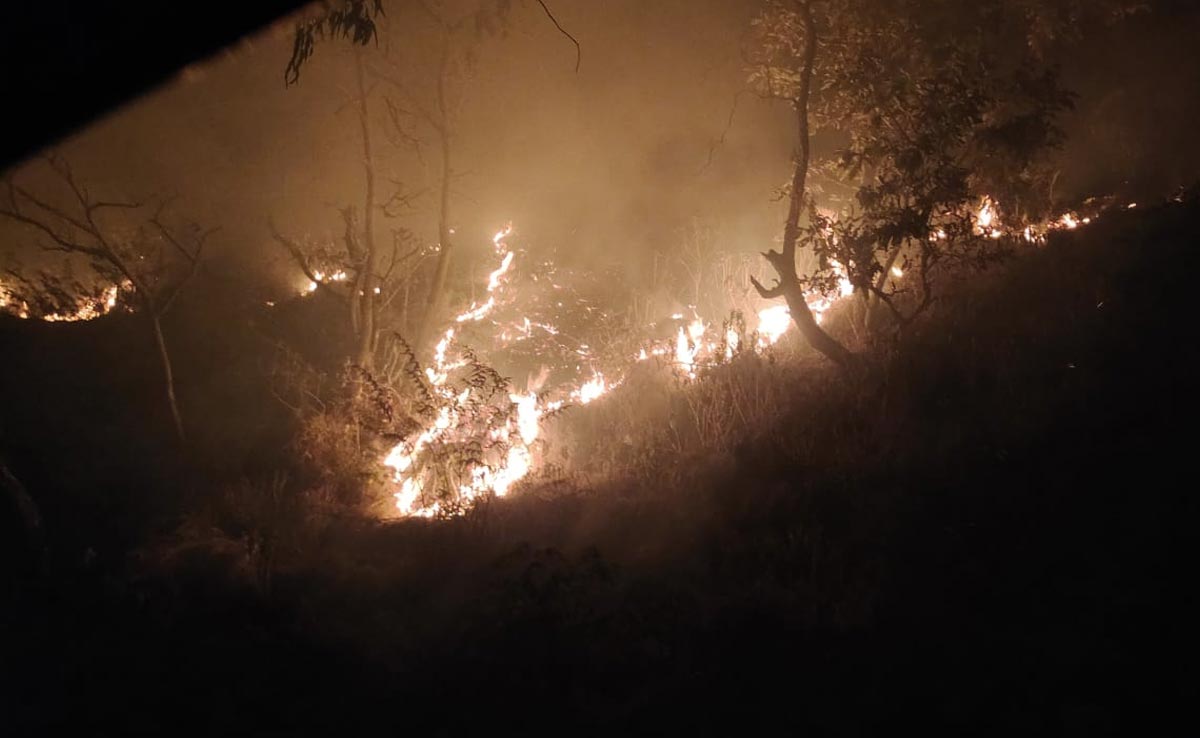 नैनीताल: जंगलों में लगी भीषण आग, कड़ी मशक्कत के बाद पाया गया काबू