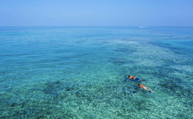 US Couple Sues Hawaii Snorkelling Company For $5 Million For Abandoning Them In Ocean