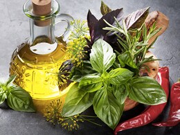 Increase Shelf life Of Basil: Follow These 5 Easy Tips