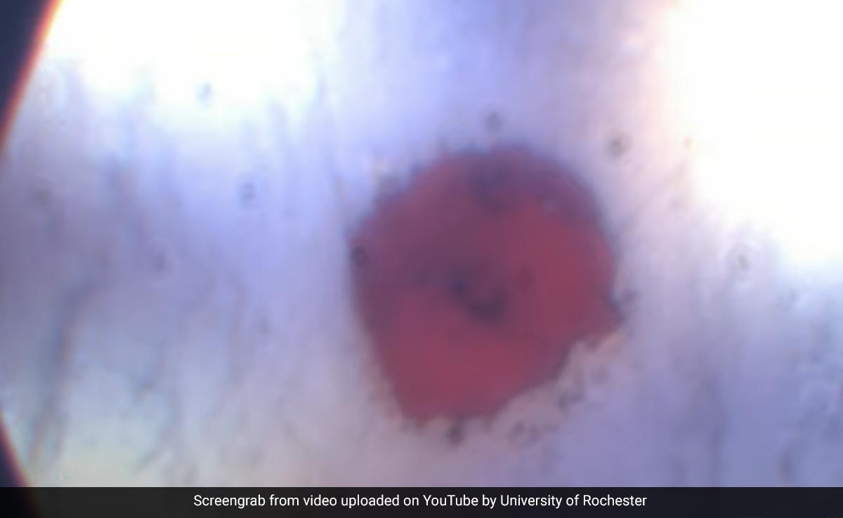 Scientists Find A New Material That Could Change The Entire World: Study