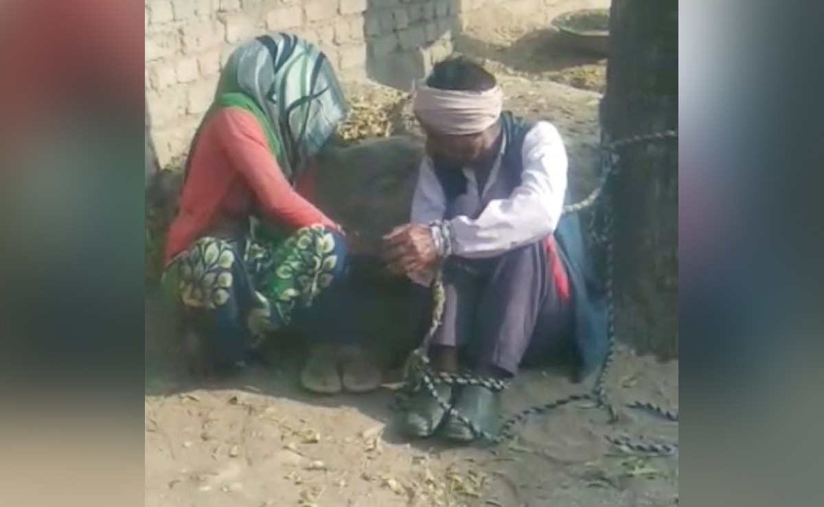 Man Chained To Tree And Thrashed, Found Dead Later, Cops Suspect Suicide