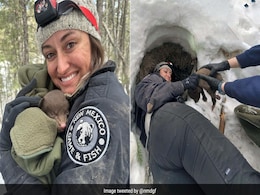 US Conservation Agency Is Seeking 'Professional Bear Huggers' For New Job Opening US Conservation Agency Is Seeking 'Professional Bear Huggers' For New Job Opening