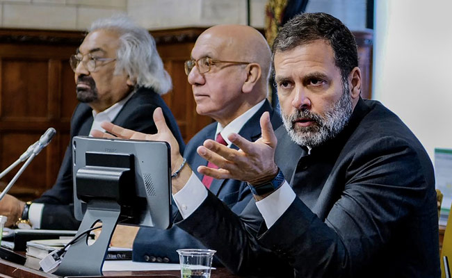 "Rahul Gandhi Sought Europe, US Intervention In India": BJP Hits Out