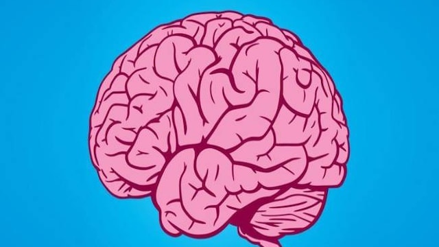 Consuming heart-healthy foods can help us maintain the health of our brain