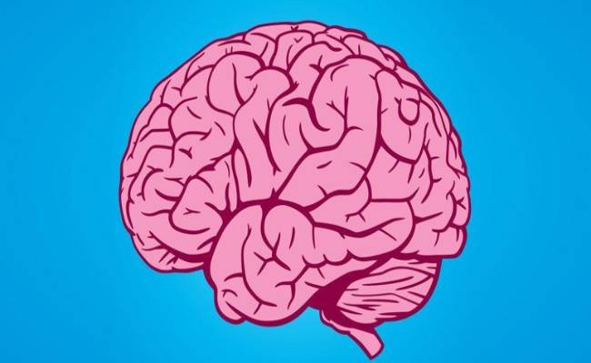 Consuming heart-healthy foods can help us maintain the health of our brain