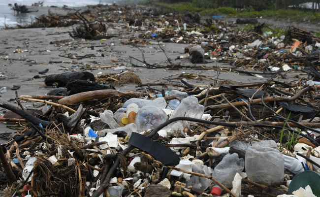 Rise In Ocean Plastic Pollution 'Unprecedented' Since 2005: Study