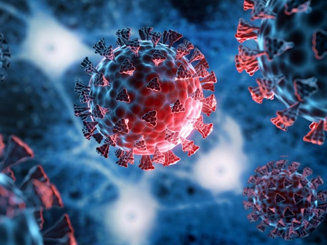 कोविड-19 के कारण पिता को खोने वाली लड़की 15 साल की उम्र में हुई ग्रैजुएट कोविड-19 के कारण पिता को खोने वाली लड़की 15 साल की उम्र में हुई ग्रैजुएट