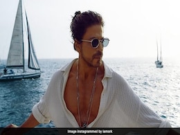 Shah Rukh Khan Will Have 7 Days Shooting Schedule For His Cameo In <i>Tiger 3</i> Shah Rukh Khan Will Have 7 Days Shooting Schedule For His Cameo In <i>Tiger 3</i>