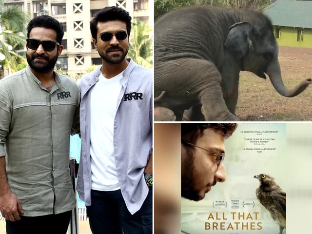 OSCARS 2023: क्या ‘आरआरआर’, ‘ऑल दैट ब्रीथ्स’, ‘एलिफेंट व्हिस्परर्स’ रच पाएंगी इतिहास ?