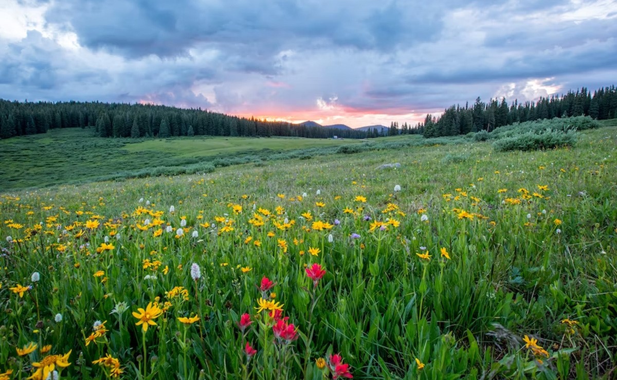 Top 7 Places To Visit In India In Spring 2023 For A Scenic Vacay