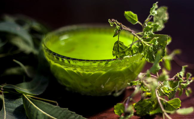 Benefits Of Basil Leaves: 7 Reasons Why You Need To Add Basil Leaves To Your Skincare Routine ASAP