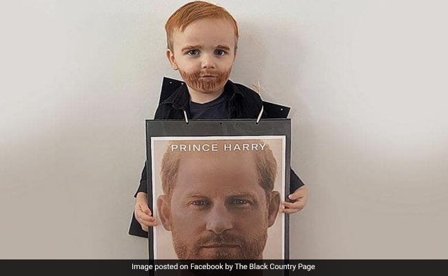 UK Boy Dresses Up As Prince Harry On World Book Day, Photo Goes Viral