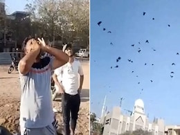 एक ही आवाज से आसमान में लग गई कौओं की भीड़! VIDEO देख खुली की खुली रह जाएंगी आंखें एक ही आवाज से आसमान में लग गई कौओं की भीड़! VIDEO देख खुली की खुली रह जाएंगी आंखें