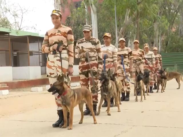 Women Dog Handlers Being Trained At Border Police Camp In Panchkula