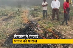 बड़ी ख़बर : महाराष्ट्र में किसानों को नहीं मिल रहे प्याज के सही दाम, किसान ने जलाई फसल बड़ी ख़बर : महाराष्ट्र में किसानों को नहीं मिल रहे प्याज के सही दाम, किसान ने जलाई फसल