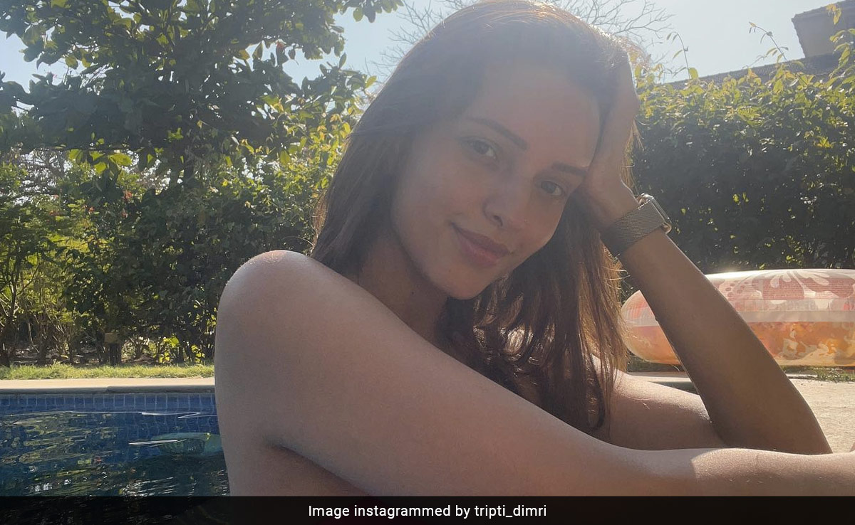 Tripti Dimri's "Perfect Summer Day" Involved Pool Time. We're Jealous