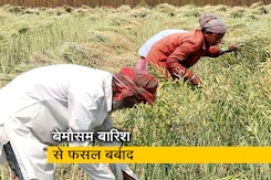 बेमौसम बारिश से यूपी समेत कई राज्यों में किसानों की फसल हुई बर्बाद बेमौसम बारिश से यूपी समेत कई राज्यों में किसानों की फसल हुई बर्बाद