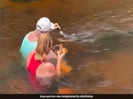 Viral Video: Unfazed By Danger Involved, US Man Hand-Feeds An Alligator Viral Video: Unfazed By Danger Involved, US Man Hand-Feeds An Alligator