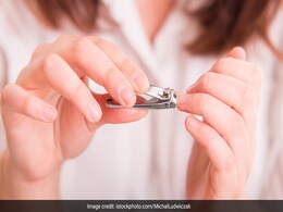 क्या आप भी सप्ताह के किसी दिन काट लेते हैं नाखून तो अब से ना करें ऐसा, जीवन पर पड़ता है बुरा असर क्या आप भी सप्ताह के किसी दिन काट लेते हैं नाखून तो अब से ना करें ऐसा, जीवन पर पड़ता है बुरा असर